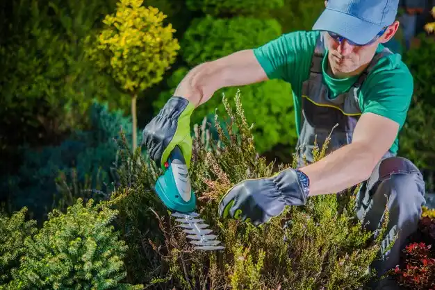 landscaping services Shenorock